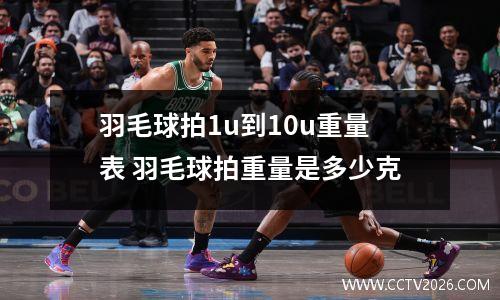 凯尔特人队的辉煌时刻：回顾他们的冠军之路 凯尔特人队史个人最高分
