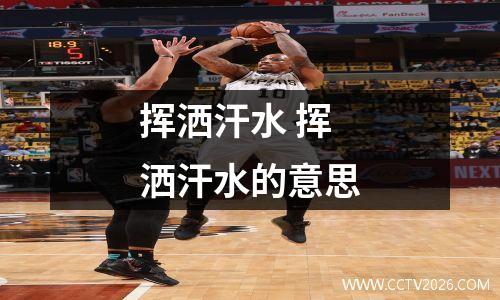 挥洒汗水 挥洒汗水的意思