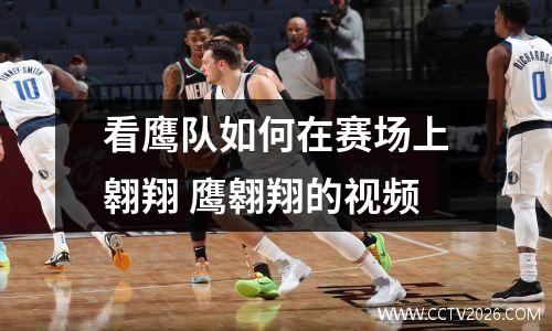 看鹰队如何在赛场上翱翔 鹰翱翔的视频