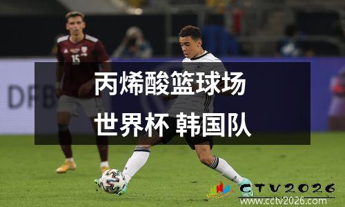 丙烯酸篮球场 世界杯 韩国队