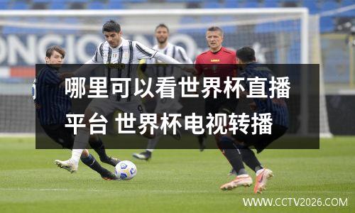 哪里可以看世界杯直播平台 世界杯电视转播