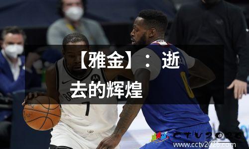 【雅金】：逝去的辉煌 