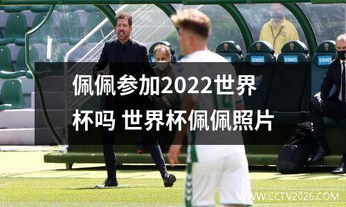 佩佩参加2022世界杯吗 世界杯佩佩照片