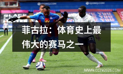 菲古拉：体育史上最伟大的赛马之一 