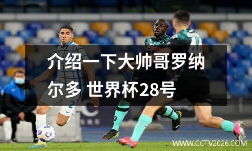 介绍一下大帅哥罗纳尔多 世界杯28号
