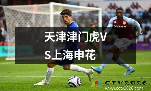 天津津门虎VS上海申花