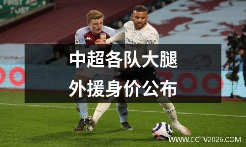 中超各队大腿外援身价公布