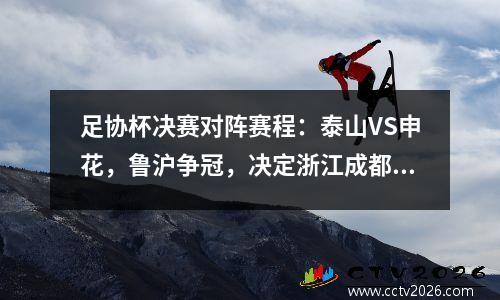 足协杯决赛对阵赛程：泰山VS申花，鲁沪争冠，决定浙江成都命运 视频