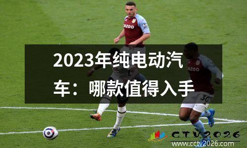 2023年纯电动汽车：哪款值得入手