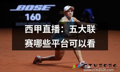 西甲直播：五大联赛哪些平台可以看