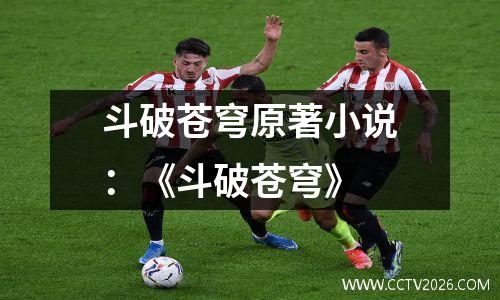 斗破苍穹原著小说：《斗破苍穹》