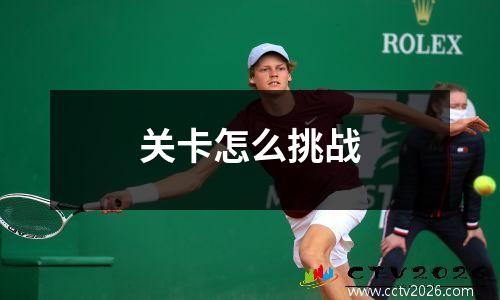 巴西边锋威廉今夏重返富勒姆