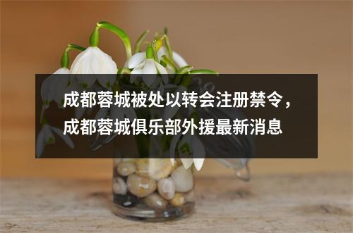 成都蓉城被处以转会注册禁令，成都蓉城俱乐部外援最新消息