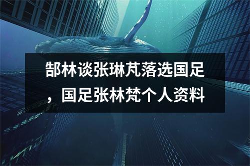 郜林谈张琳芃落选国足，国足张林梵个人资料