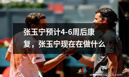 张玉宁预计4-6周后康复，张玉宁现在在做什么