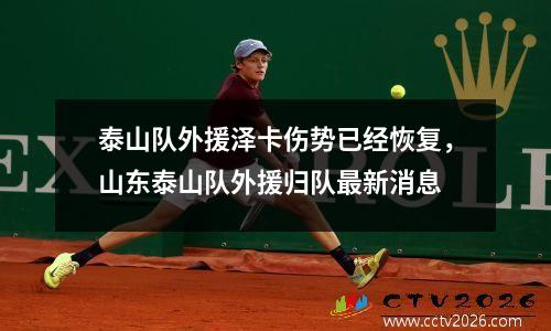 泰山队外援泽卡伤势已经恢复，山东泰山队外援归队最新消息