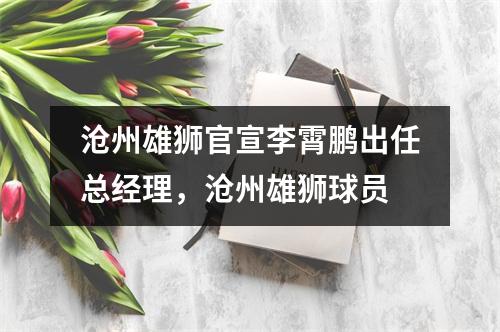 沧州雄狮官宣李霄鹏出任总经理，沧州雄狮球员