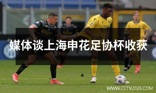 媒体谈上海申花足协杯收获