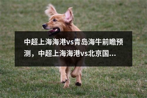 中超上海海港vs青岛海牛前瞻预测，中超上海海港vs北京国安