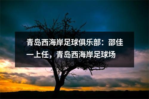 青岛西海岸足球俱乐部：邵佳一上任，青岛西海岸足球场