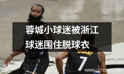 蓉城小球迷被浙江球迷围住脱球衣