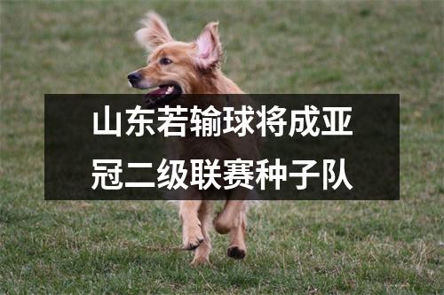 山东若输球将成亚冠二级联赛种子队