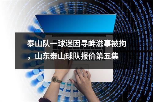泰山队一球迷因寻衅滋事被拘，山东泰山球队报价第五集
