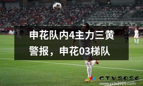 申花队内4主力三黄警报，申花03梯队