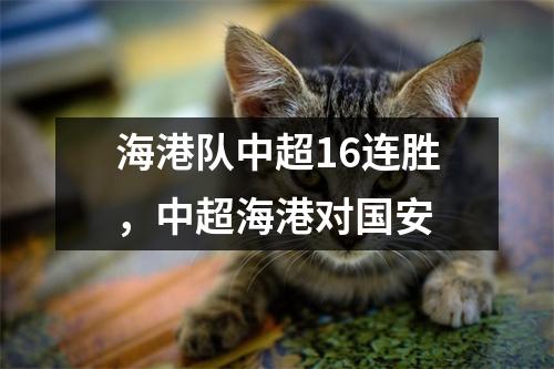 海港队中超16连胜，中超海港对国安