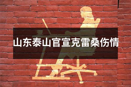 山东泰山官宣克雷桑伤情