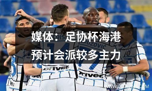 媒体：足协杯海港预计会派较多主力