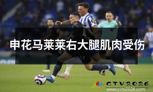 申花马莱莱右大腿肌肉受伤