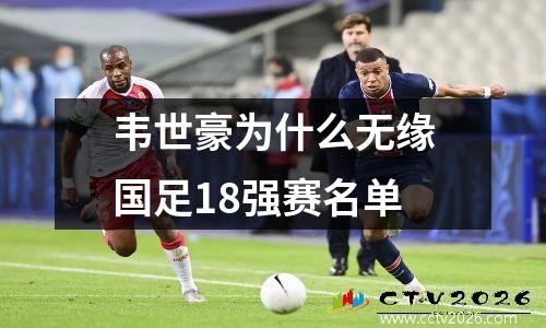 韦世豪为什么无缘国足18强赛名单