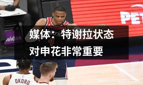 媒体：特谢拉状态对申花非常重要