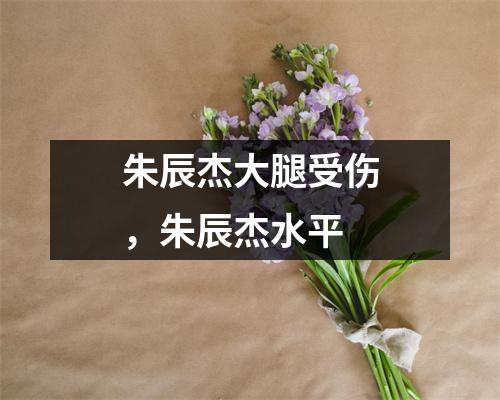 朱辰杰大腿受伤，朱辰杰水平