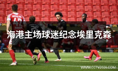 海港主场球迷纪念埃里克森
