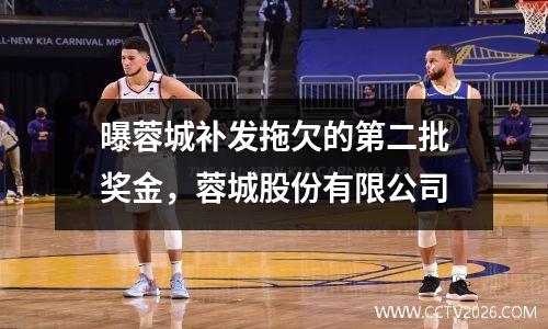 曝蓉城补发拖欠的第二批奖金，蓉城股份有限公司