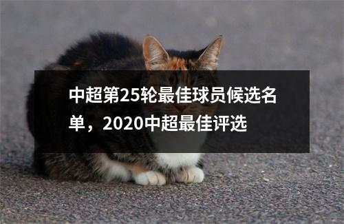 中超第25轮最佳球员候选名单，2020中超最佳评选