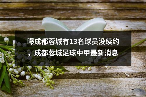 曝成都蓉城有13名球员没续约，成都蓉城足球中甲最新消息