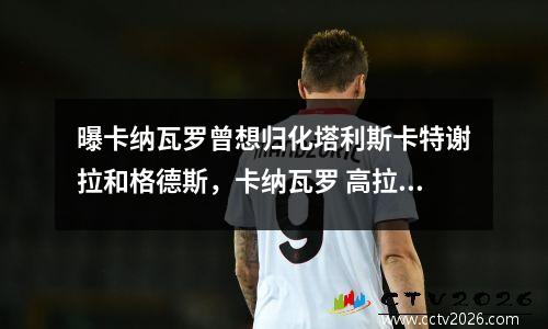曝卡纳瓦罗曾想归化塔利斯卡特谢拉和格德斯，卡纳瓦罗 高拉特