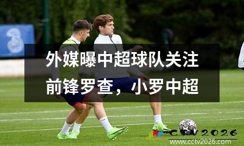 外媒曝中超球队关注前锋罗查，小罗中超