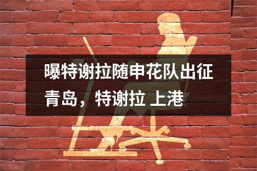 曝特谢拉随申花队出征青岛，特谢拉 上港