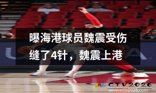 曝海港球员魏震受伤缝了4针，魏震上港