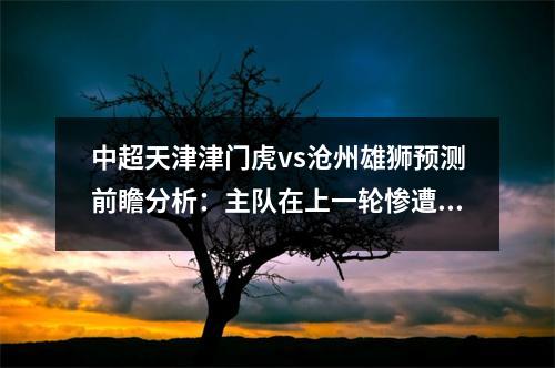 中超天津津门虎vs沧州雄狮预测前瞻分析：主队在上一轮惨遭逆转，中超联赛天津津门虎