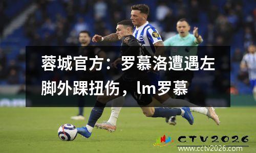 蓉城官方：罗慕洛遭遇左脚外踝扭伤，lm罗慕