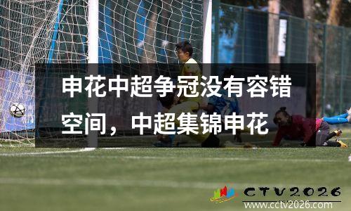申花中超争冠没有容错空间，中超集锦申花