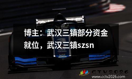 博主：武汉三镇部分资金就位，武汉三镇szsn