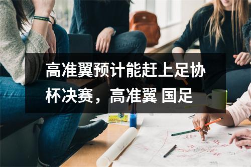 高准翼预计能赶上足协杯决赛，高准翼 国足