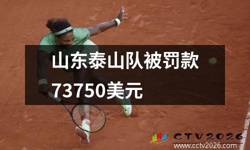 山东泰山队被罚款73750美元