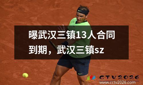 曝武汉三镇13人合同到期，武汉三镇sz